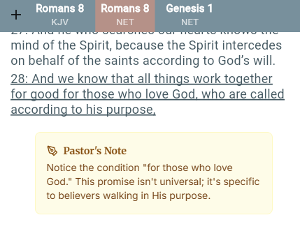 Sumemra App Interface showing bible text and study tools